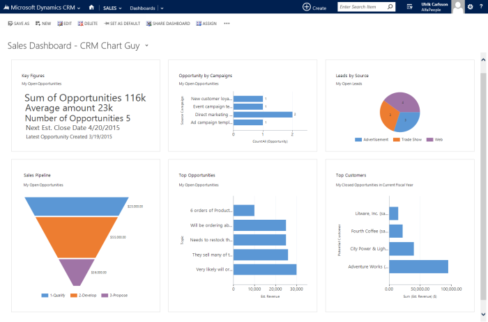 Key Figures in Context of Sales Dashboard MS CRM. Chart component with custom chart xml.