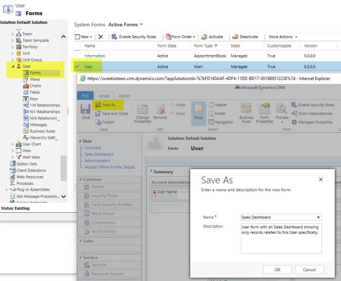 Create New User form for Sales Dashboard in MS Dynamics CRM